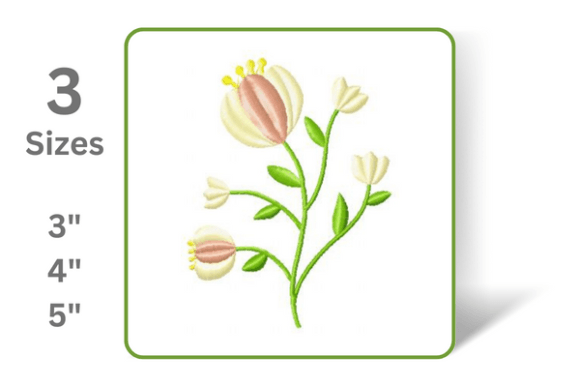 Delicate Flower Review