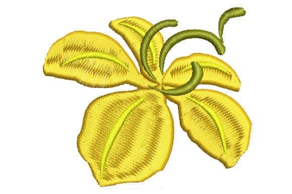 Yellow Ratchaphruek Flower